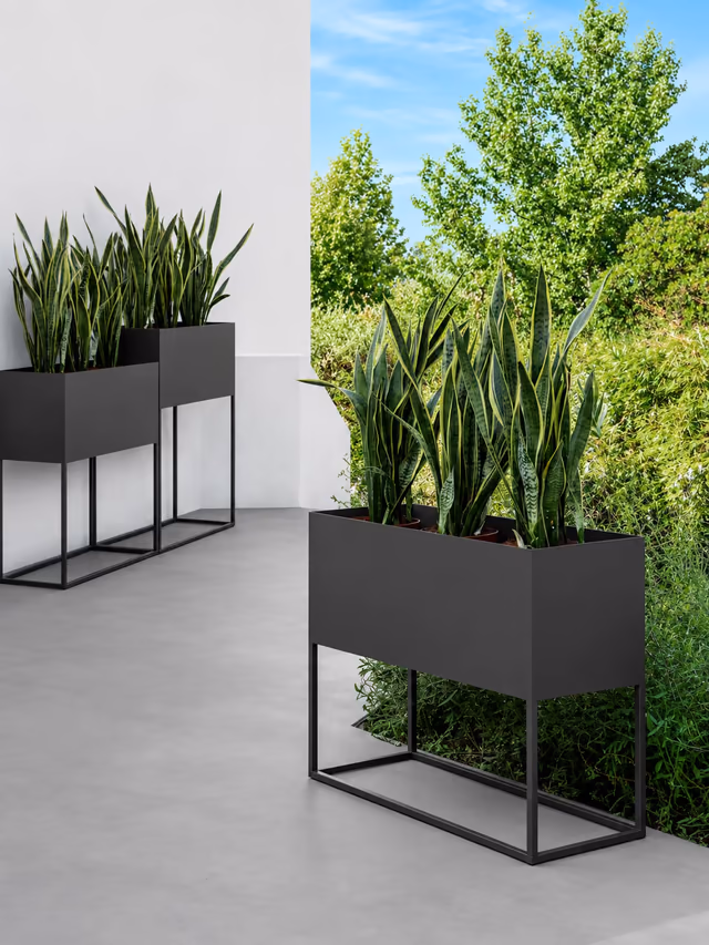 The Path collection by Talenti