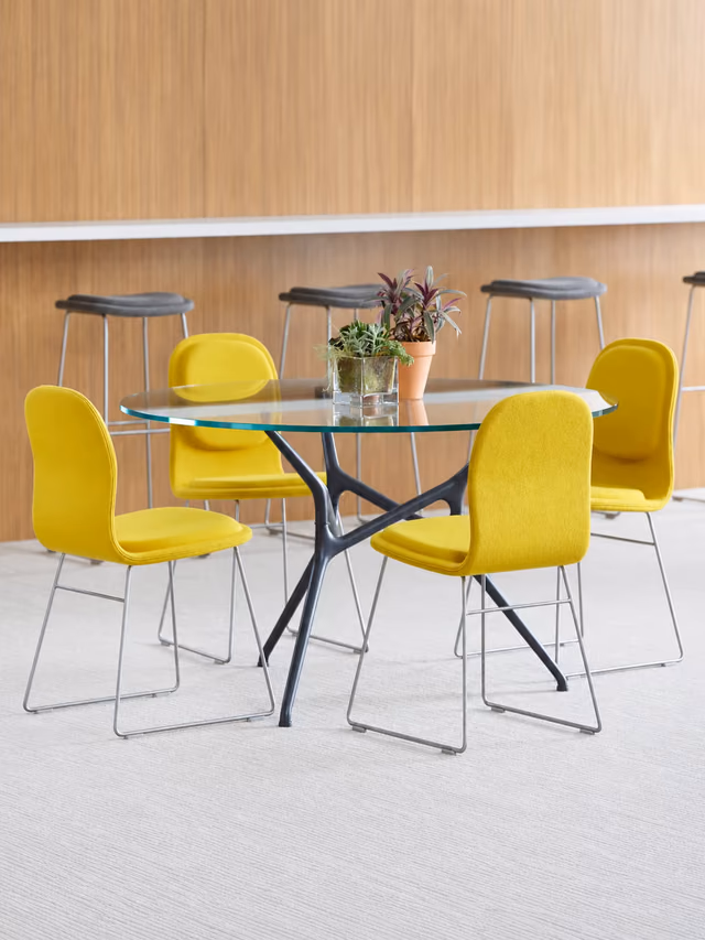 Pad collection by Cappellini