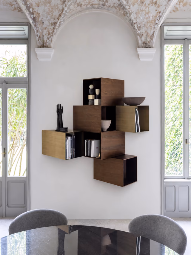 Cellula collection by Mogg