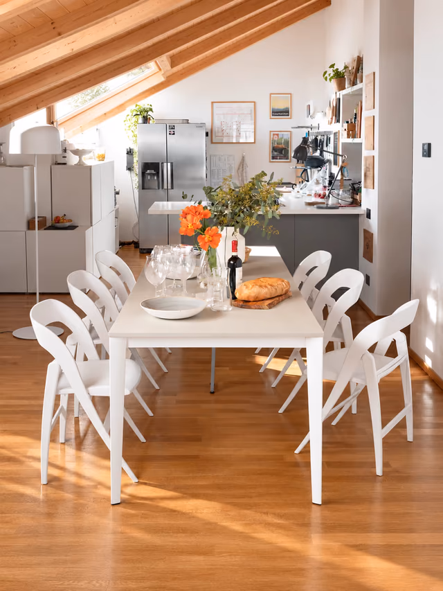 Artic collection by Connubia