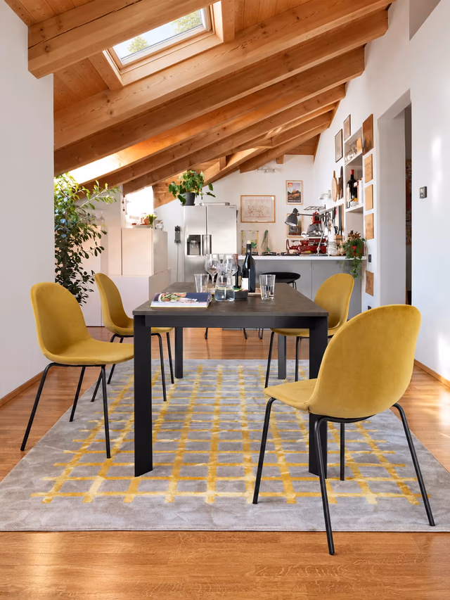 The Academy collection by Connubia