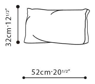 Flora Lounge Chair by Camerich, size drawing: C0820010
