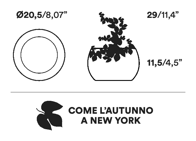 Frutteti Fruit Bowl by Opinion Ciatti, size drawing: COME L’AUTUNNO A NEW YORK