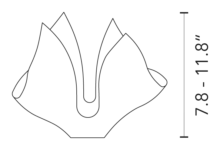 Cartoccio Q Vase by Fontana Arte, size drawing