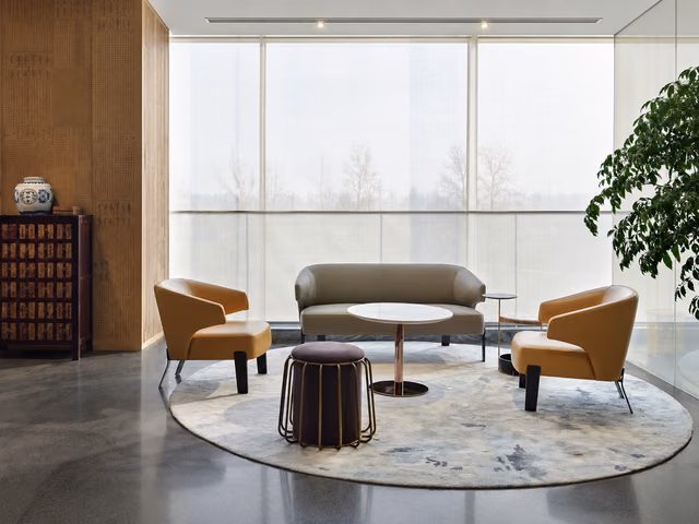 Embrace Chair by Camerich