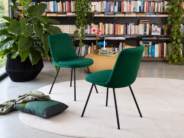 Hedra Chair by Connubia