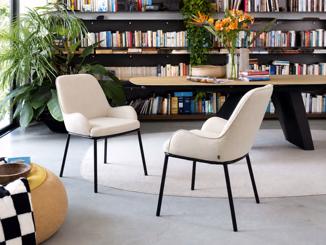 Flair Armchair by Connubia