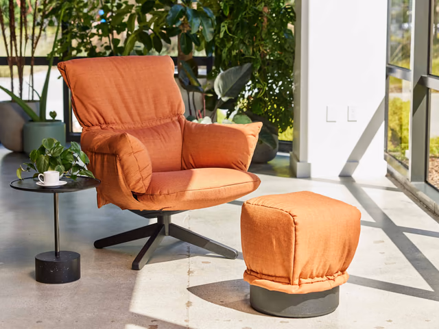 Lud'o Lounge Armchair by Cappellini