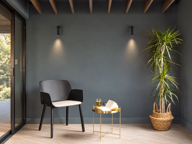 C1 Mono Spot Ceiling Spotlight by Flos