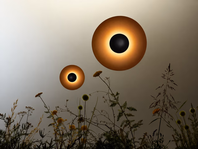 Ginger Ceiling Lamp Outdoor by Marset