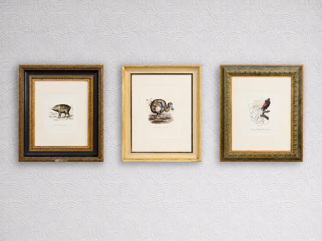 Extinct Animals Print by Moooi