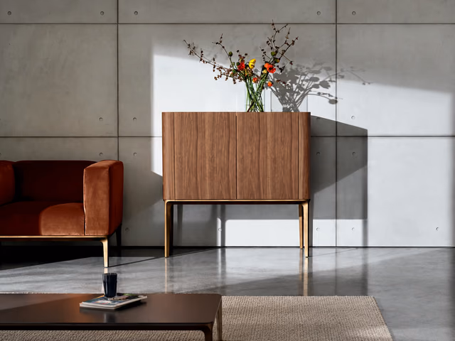 Slim Two-Door Sideboard by Sovet