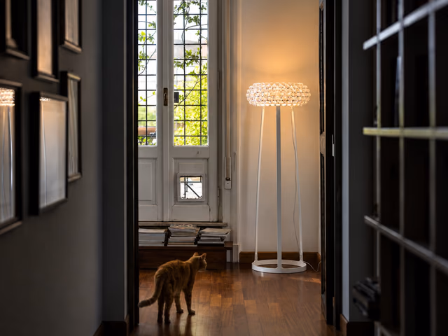 Caboche Plus Floor Lamp by Foscarini