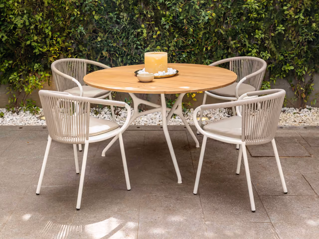 Gilda Lido Dining Armchair by Cappellini