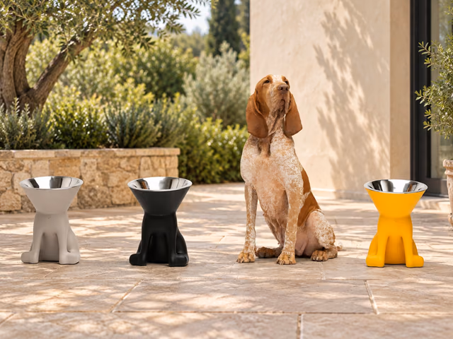 Elizabeth Dog Bowl by Slide