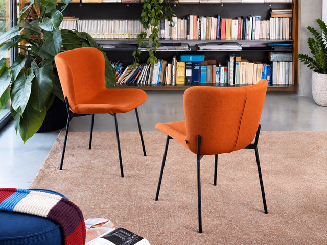 Forma Chair by Connubia