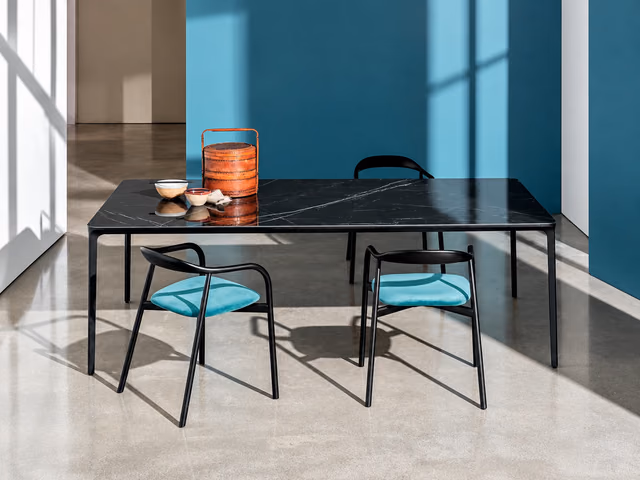 Slim Rectangular Dining Table by Sovet