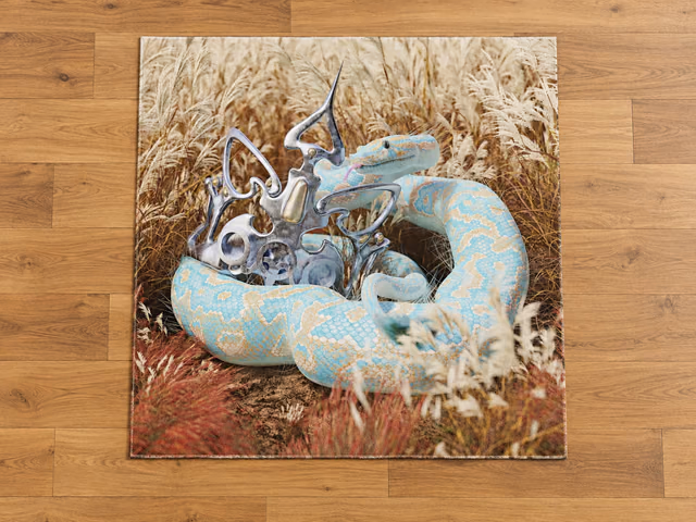 Extinct Animals Carpet by Moooi