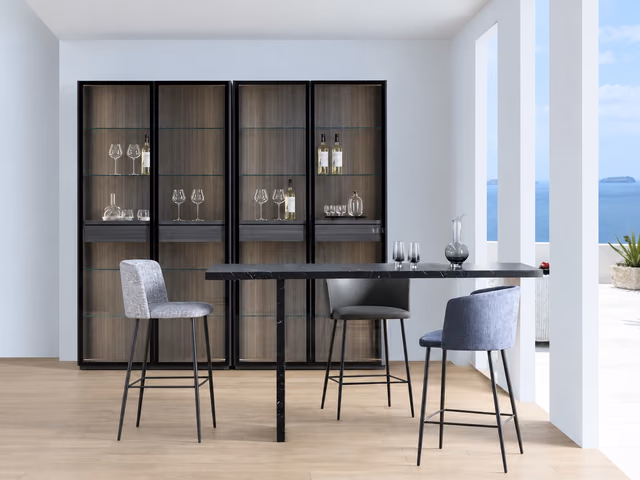 Content Cabinet 06 by Camerich