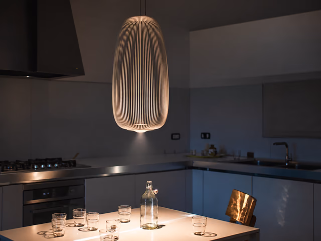 Spokes 1 Pendant Lamp by Foscarini