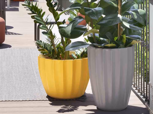 Star Planter by Slide