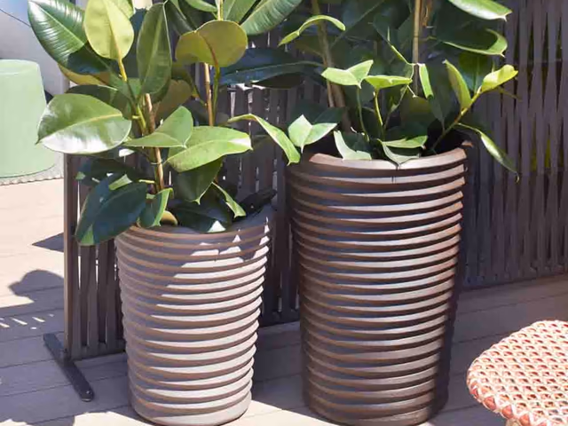 S-Pot Planter by Slide