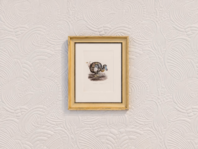 Dodo Pavone Wallcovering by Moooi