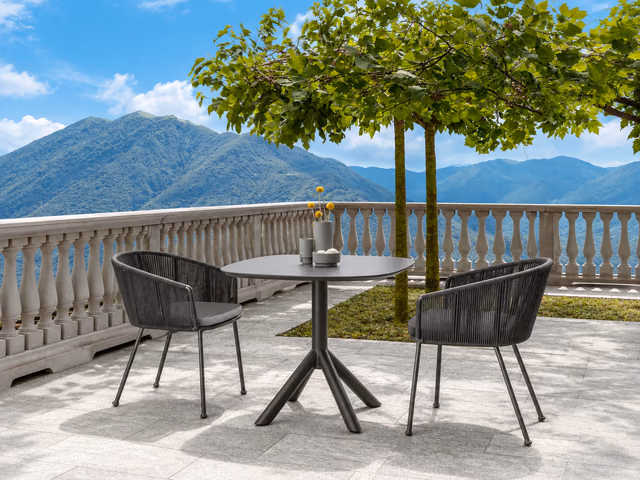 Coral Dining Chair by Talenti