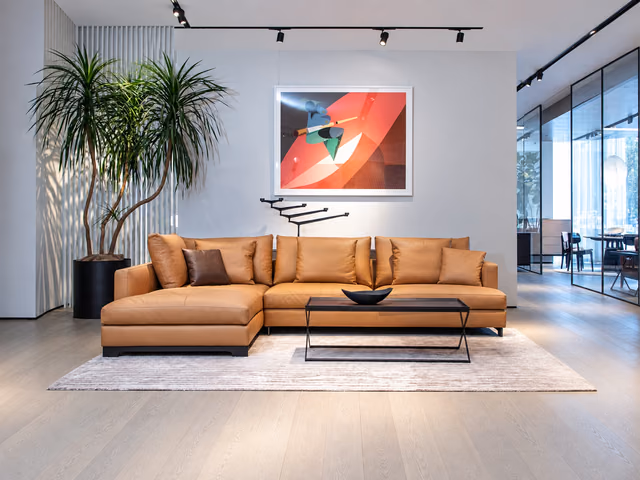 Easytime Sofa by Camerich