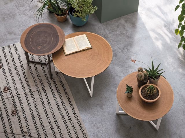 Joy Wood Coffee Table by Tomasella