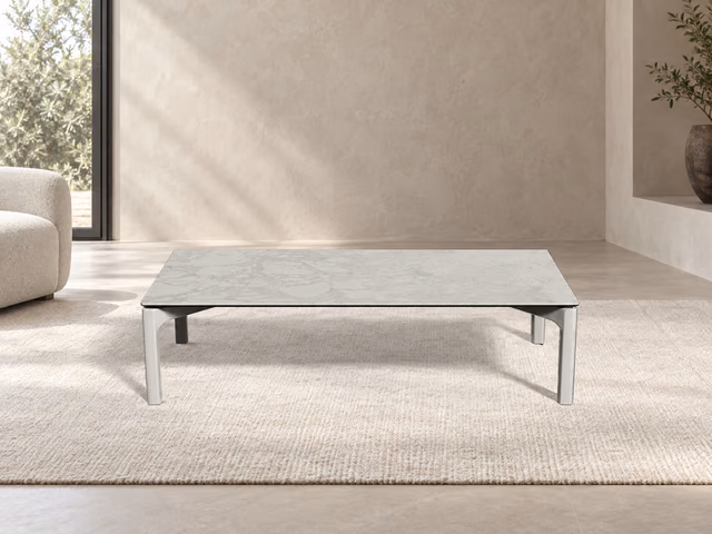Bone Coffee Table by Sovet