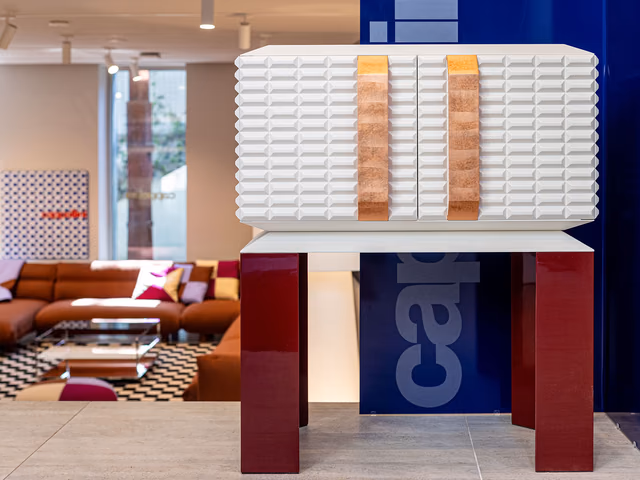 Out of Scale: Project One Cabinet by Cappellini