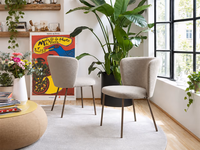 Betty Chair by Connubia