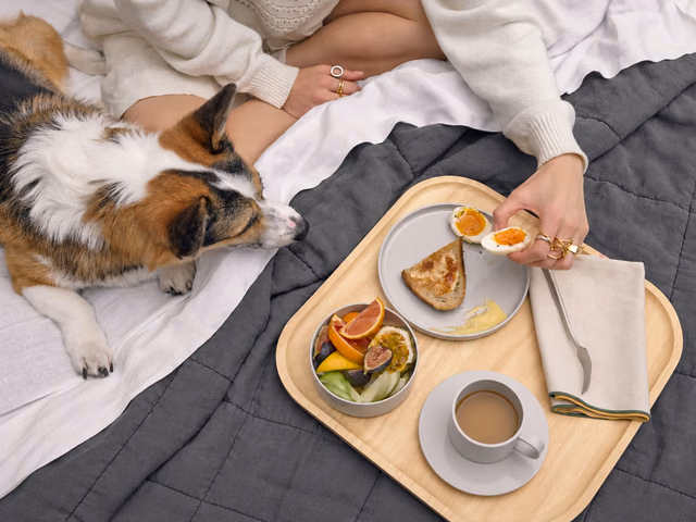 Thuma Max Breakfast Set by Heller