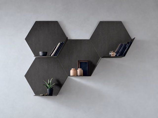 Icaro Wall Shelves by Tomasella