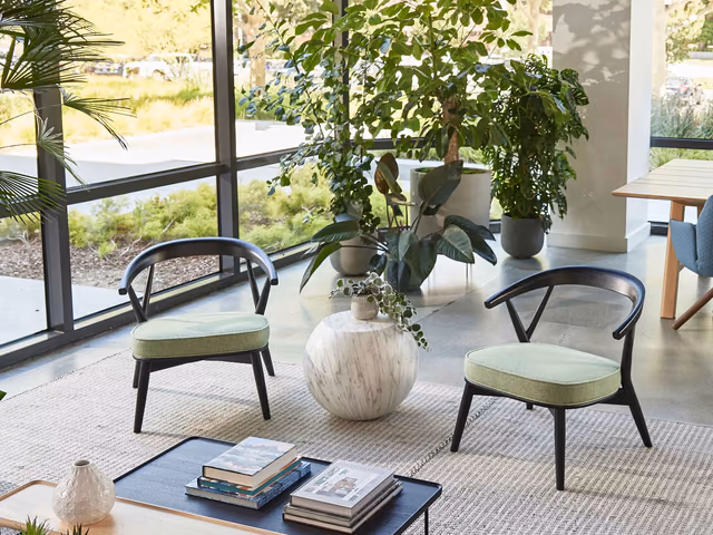 Newood Relax Light Armchair by Cappellini
